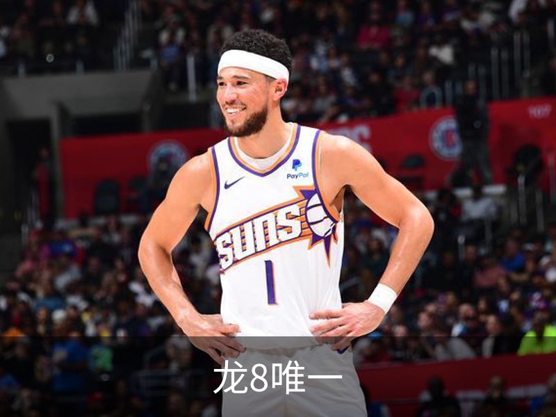 龙8唯一简介